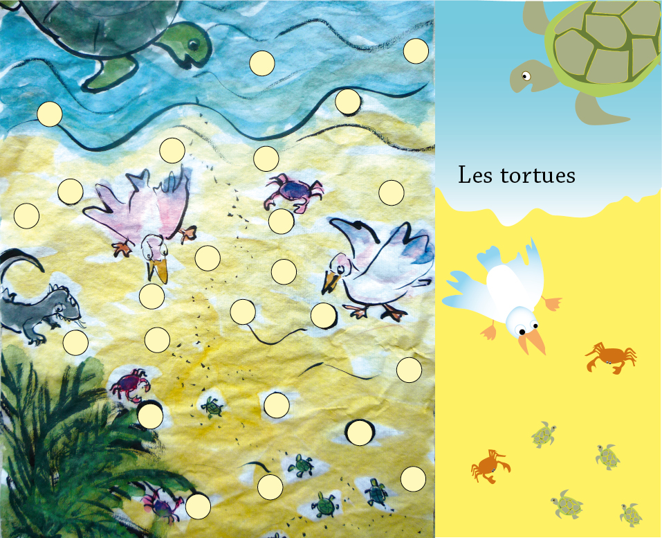tortues